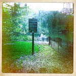 Fishing in Central Park