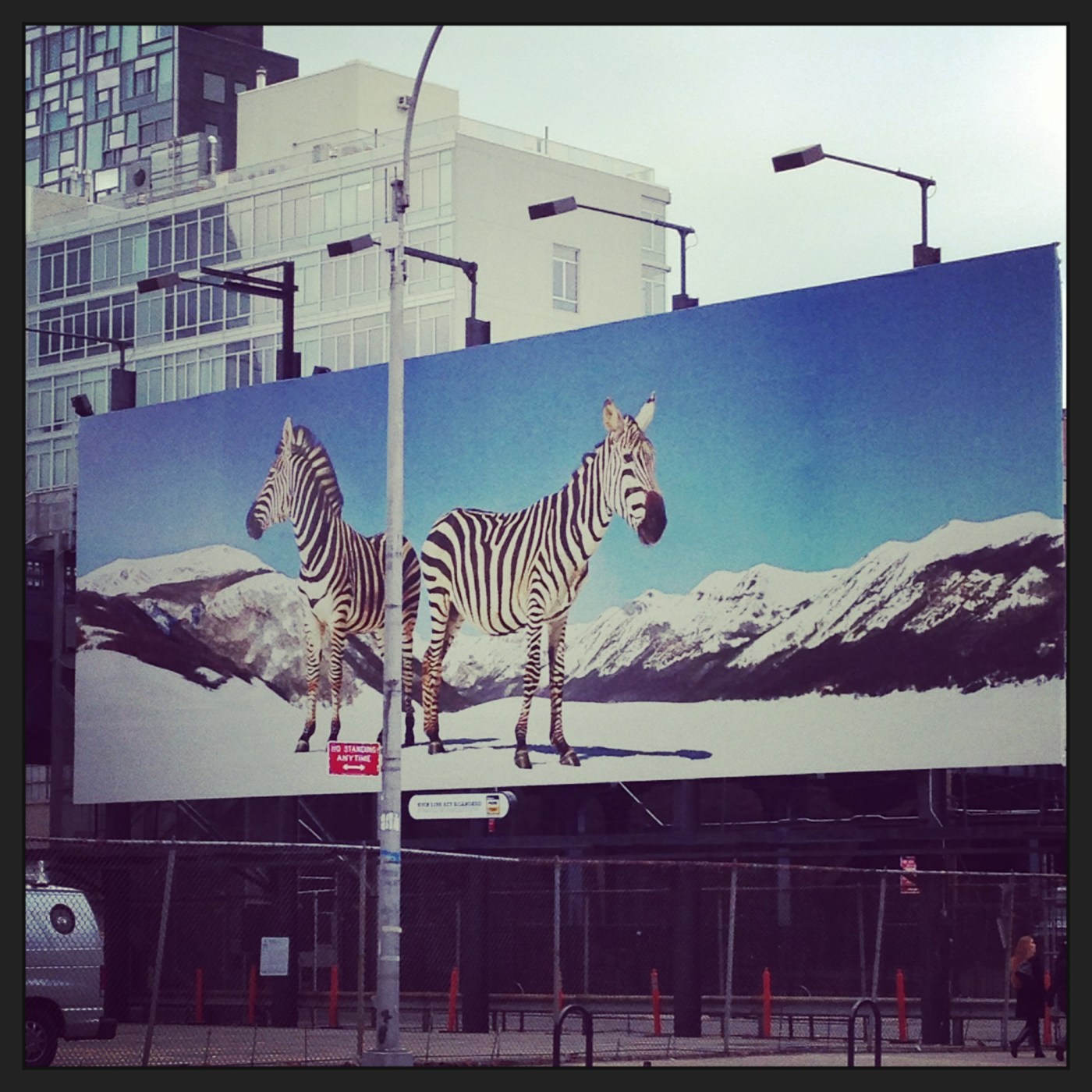 Zebras on the HighLine Billboard