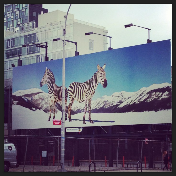 Zebras on the HighLine Billboard